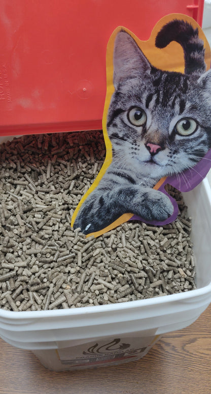 Kitty Litter