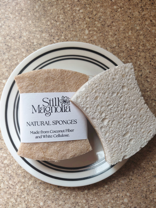 Scrubber Sponges