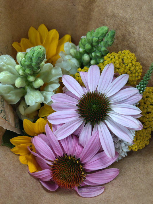 Flowers - Discounted