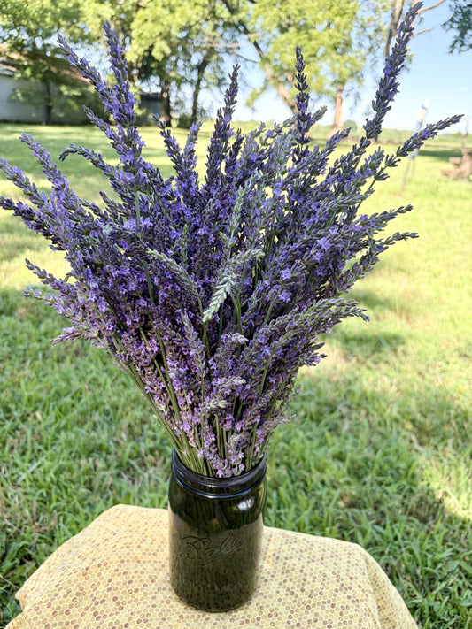 Lavender Bundles