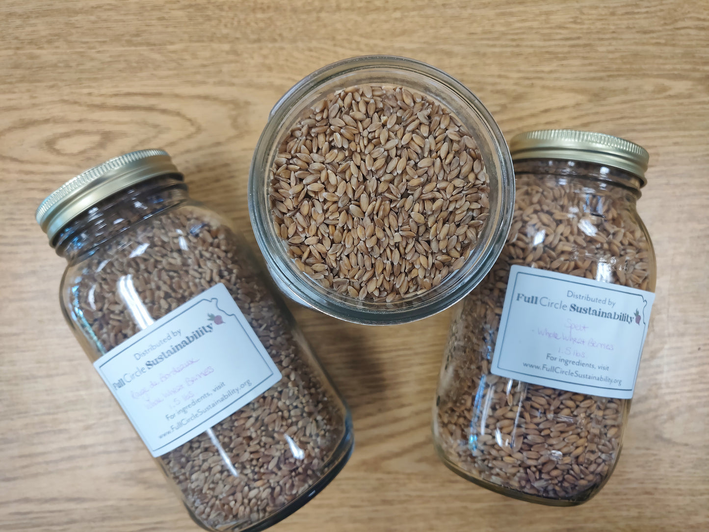 Whole Wheat Berries