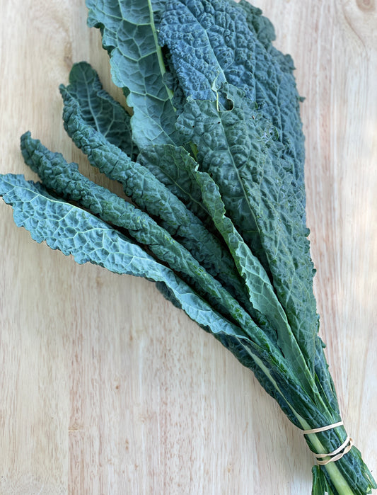Kale - Lacinato