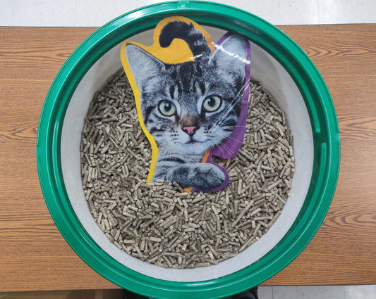Kitty Litter