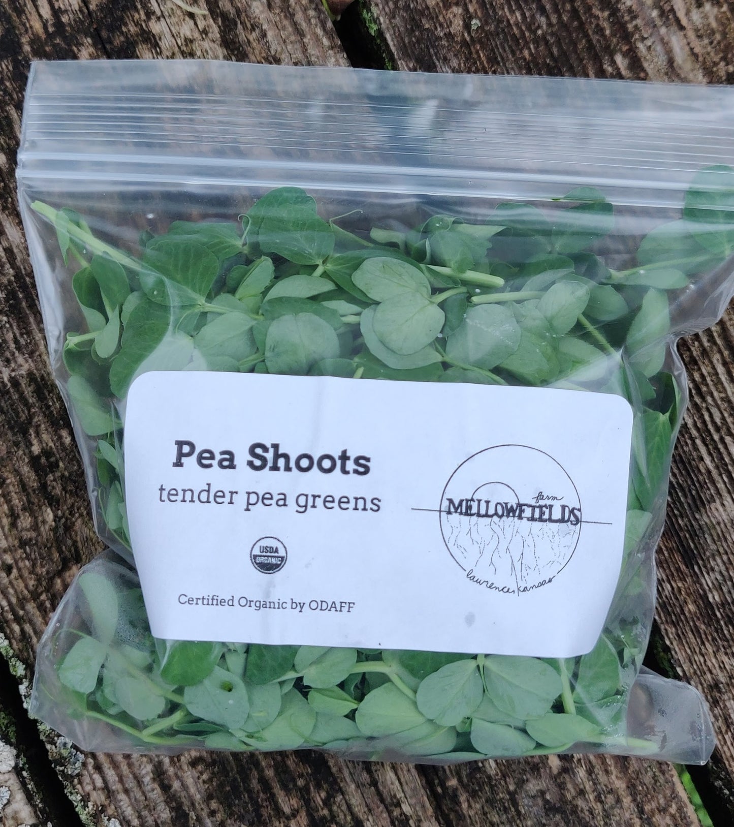 Pea Shoots