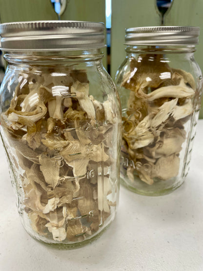 Mushrooms - Oyster (Dried)