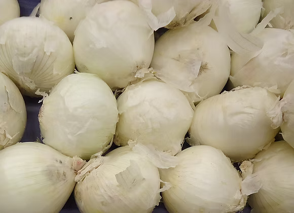 Onions - White
