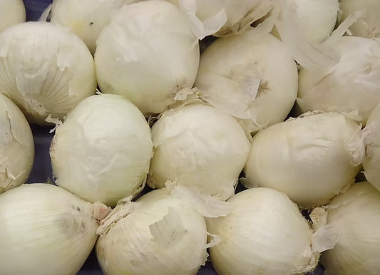 Onions - White