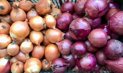 Onions - Mixed