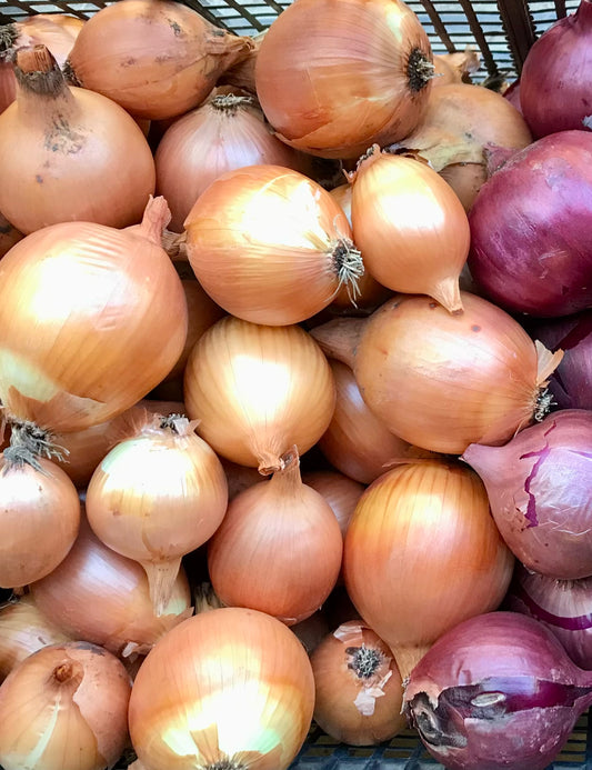 Onions - Yellow