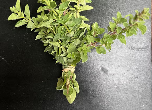 Oregano