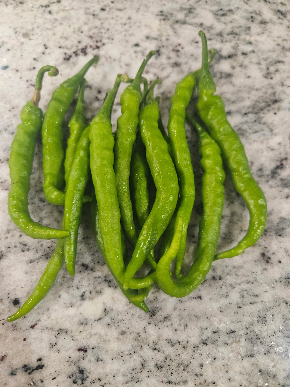 Peppers - Kashmiri