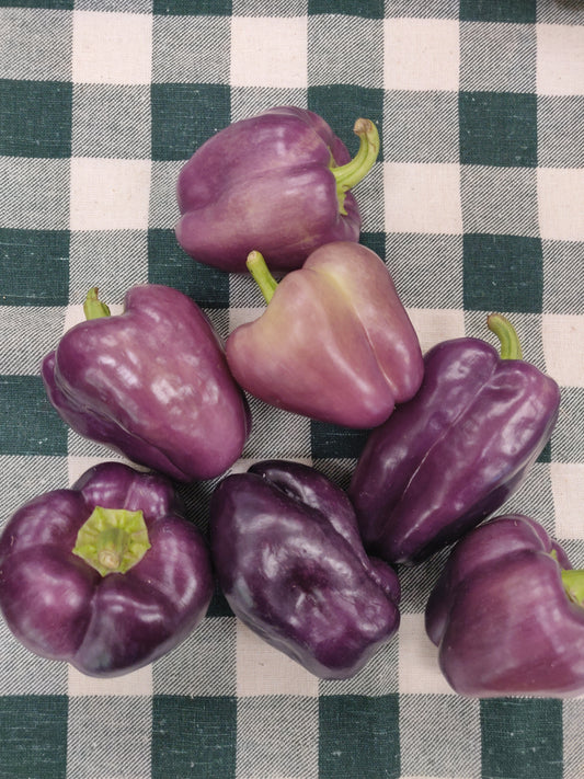 Peppers - Purple-Orange Bell