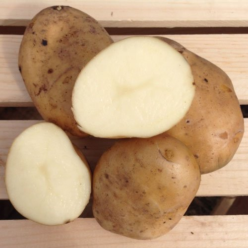 Potatoes