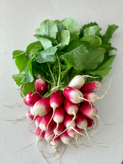 Radishes - French Breakfast