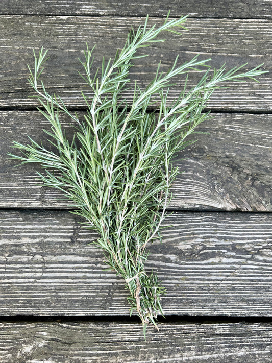 Rosemary