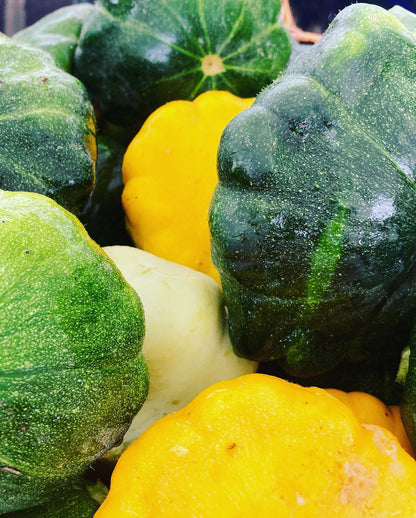 Pan Patty Squash