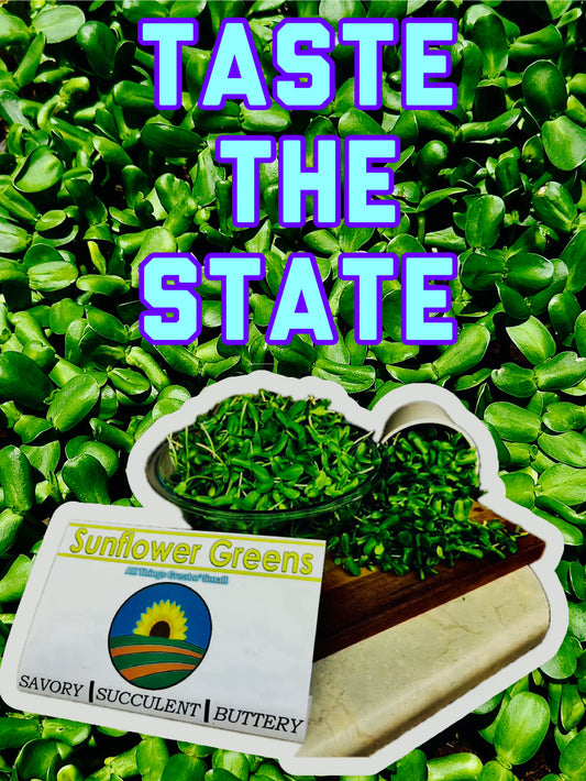 Microgreens - Sunflower Shoots