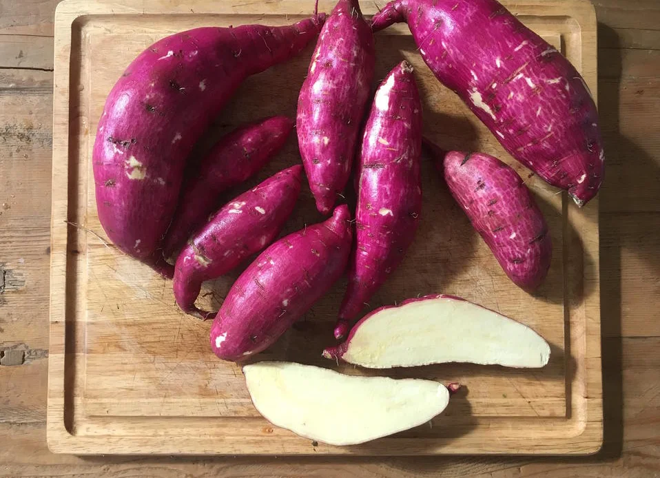 Sweet Potatoes - Varieties