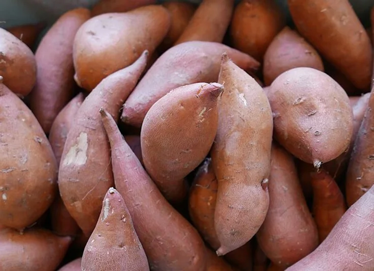 Sweet Potatoes - Varieties