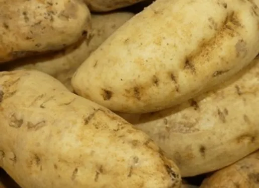 Sweet Potatoes - Varieties