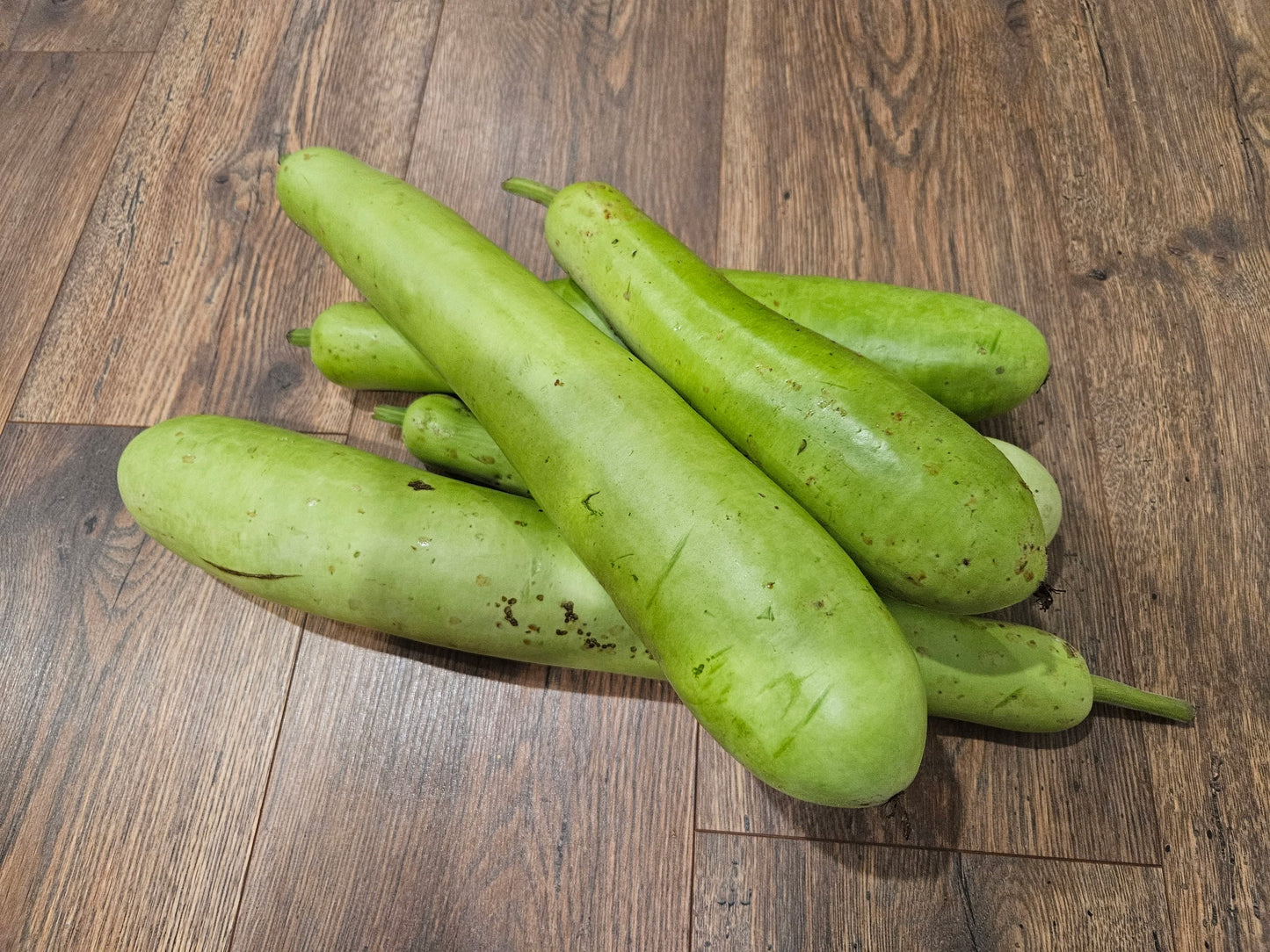 Tao Yao/ Lauki Bottle Gourd