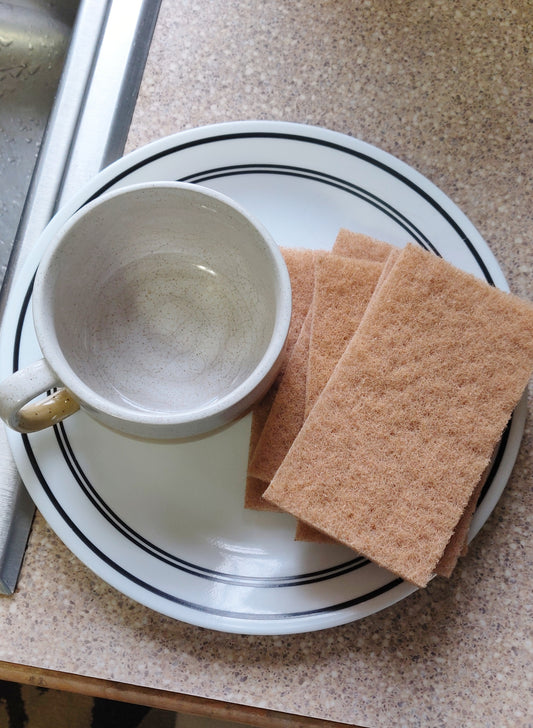 Walnut Scouring Pads