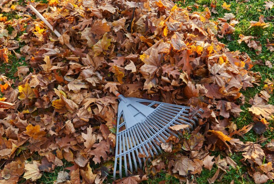 Yard Waste Pickup - Coming Soon!