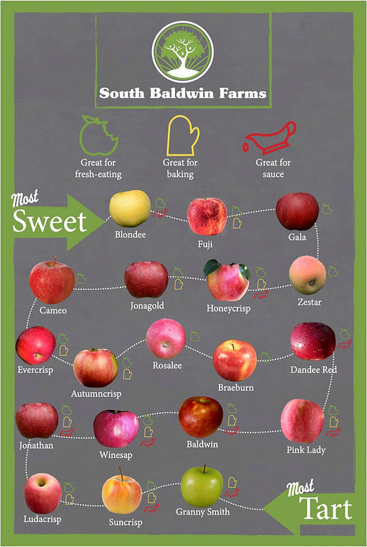Apples - Jonagold