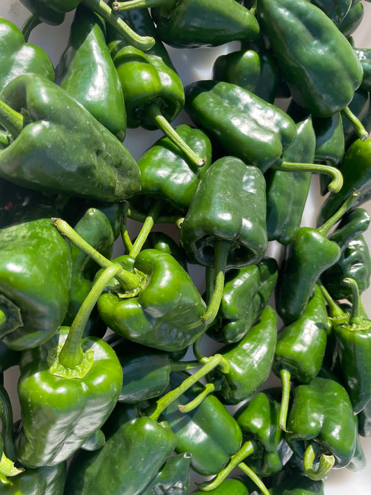 Peppers - Poblano