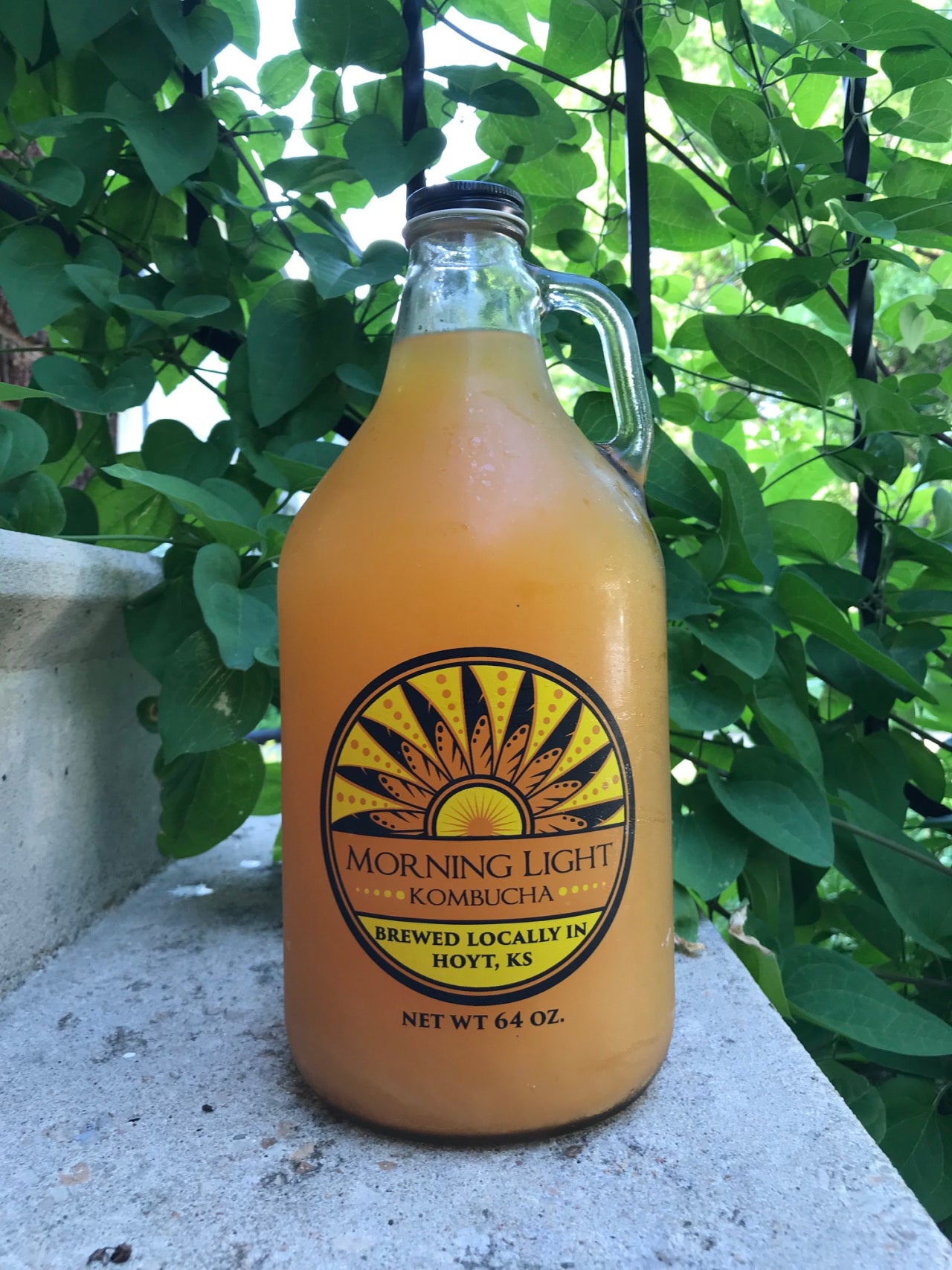 Kombucha - 64 oz Growler