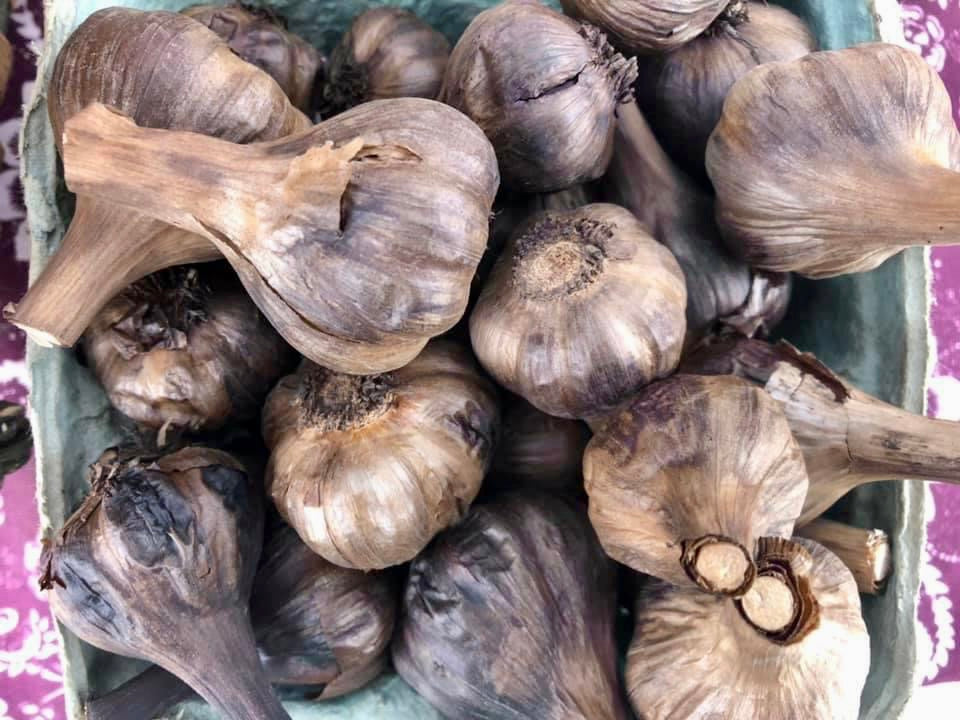 Garlic - Traditional
