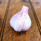Garlic - Traditional