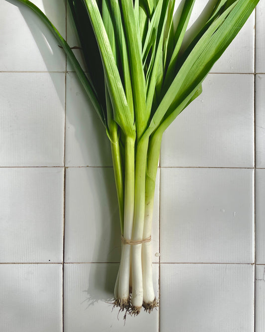 Garlic - Green