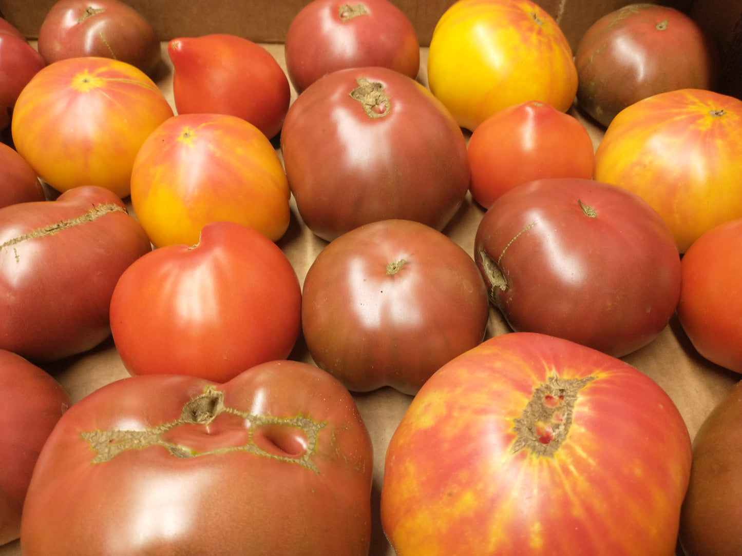 Tomatoes - Heirloom