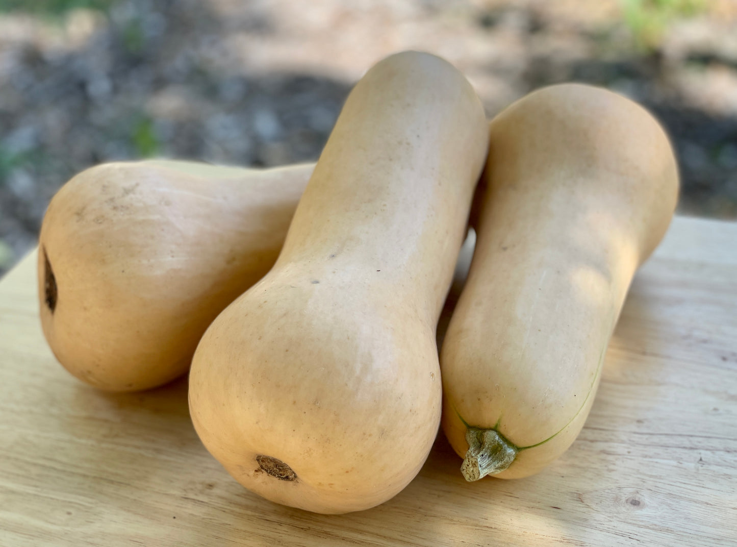 Squash - Butternut
