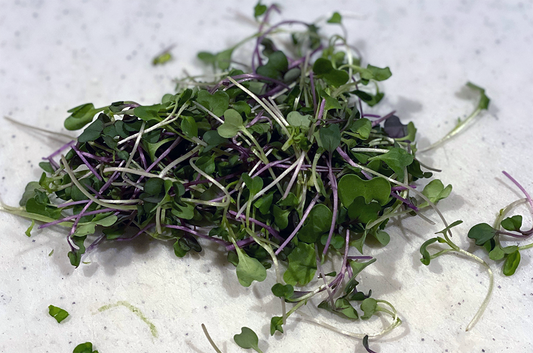 Microgreens - Mix