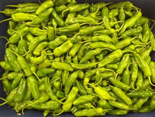 Peppers - Shishito