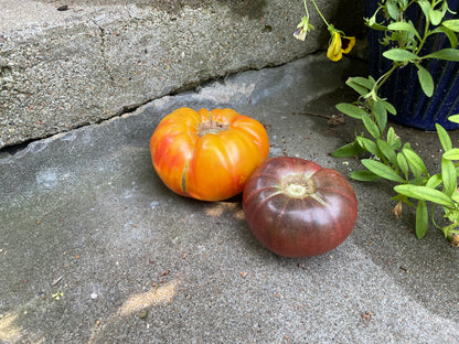 Tomatoes - Heirloom