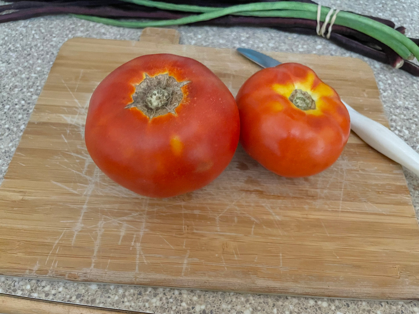 Tomatoes - Red Slicer - Discounted